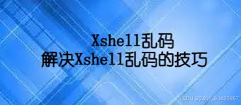 Xshell -4