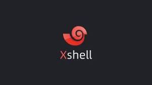 Xshell 会话管理与标签页操作技巧：高效远程连接指南？